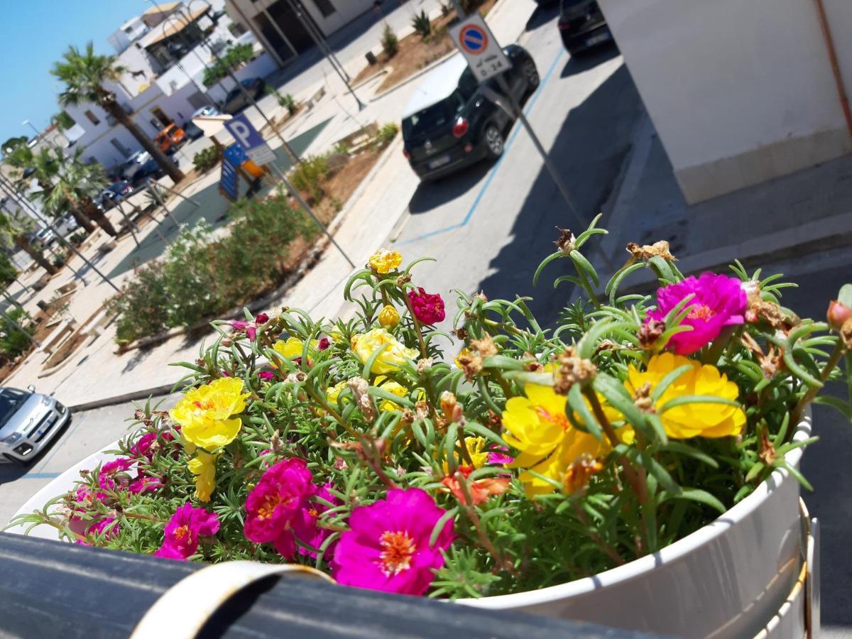 דירות סן ויטו לו קאפו Finestra Azzurra מראה חיצוני תמונה